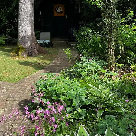Dreamwoodz - Een Droomchalet Op De Veluwe Laag-Soeren Exterior photo