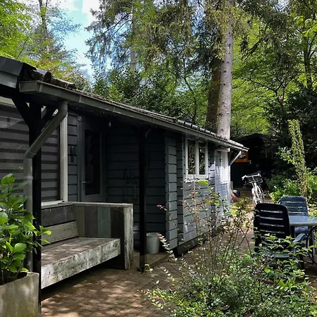 Dreamwoodz - Een Droomchalet Op De Veluwe Laag-Soeren Exterior photo