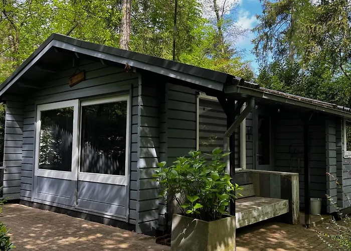 Dreamwoodz - Een Droomchalet Op De Veluwe