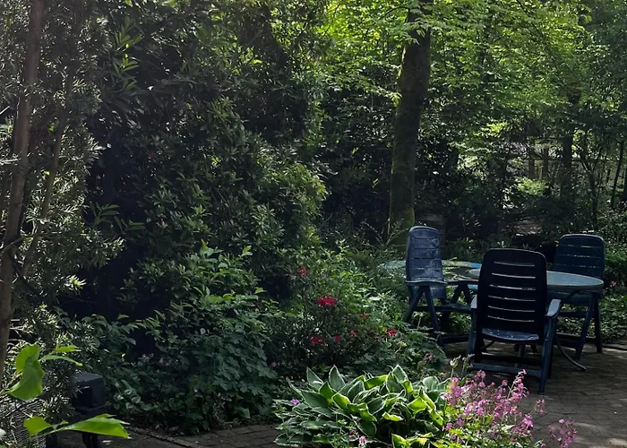 Dreamwoodz - Een Droomchalet Op De Veluwe