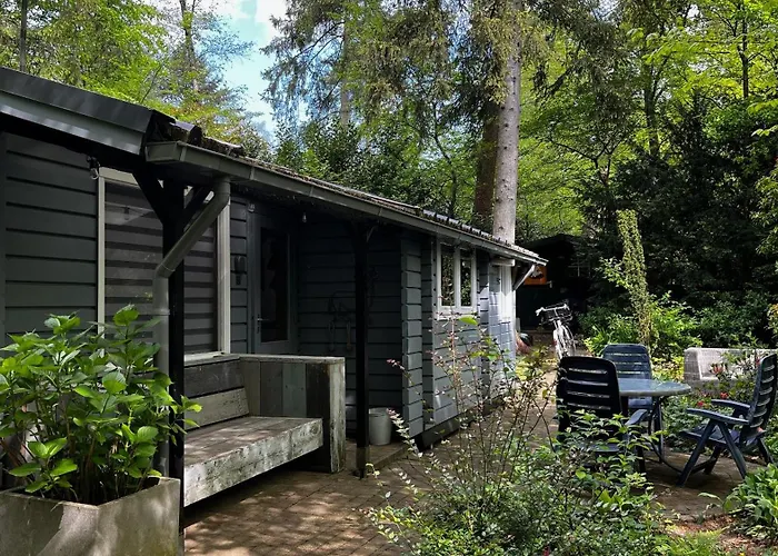 Dreamwoodz - Een Droomchalet Op De Veluwe