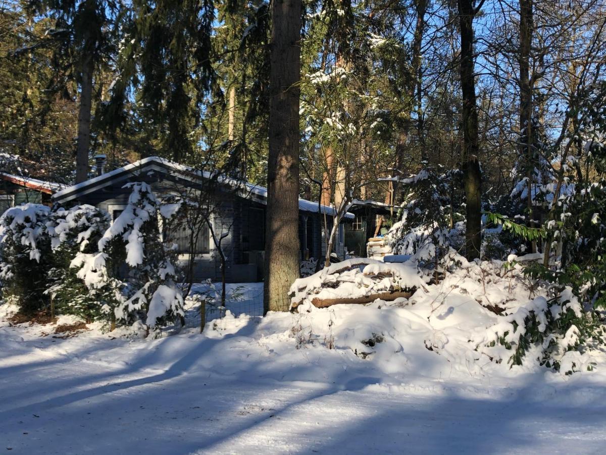 Dreamwoodz - Droomchalet Op De Veluwe * Laag-Soeren
