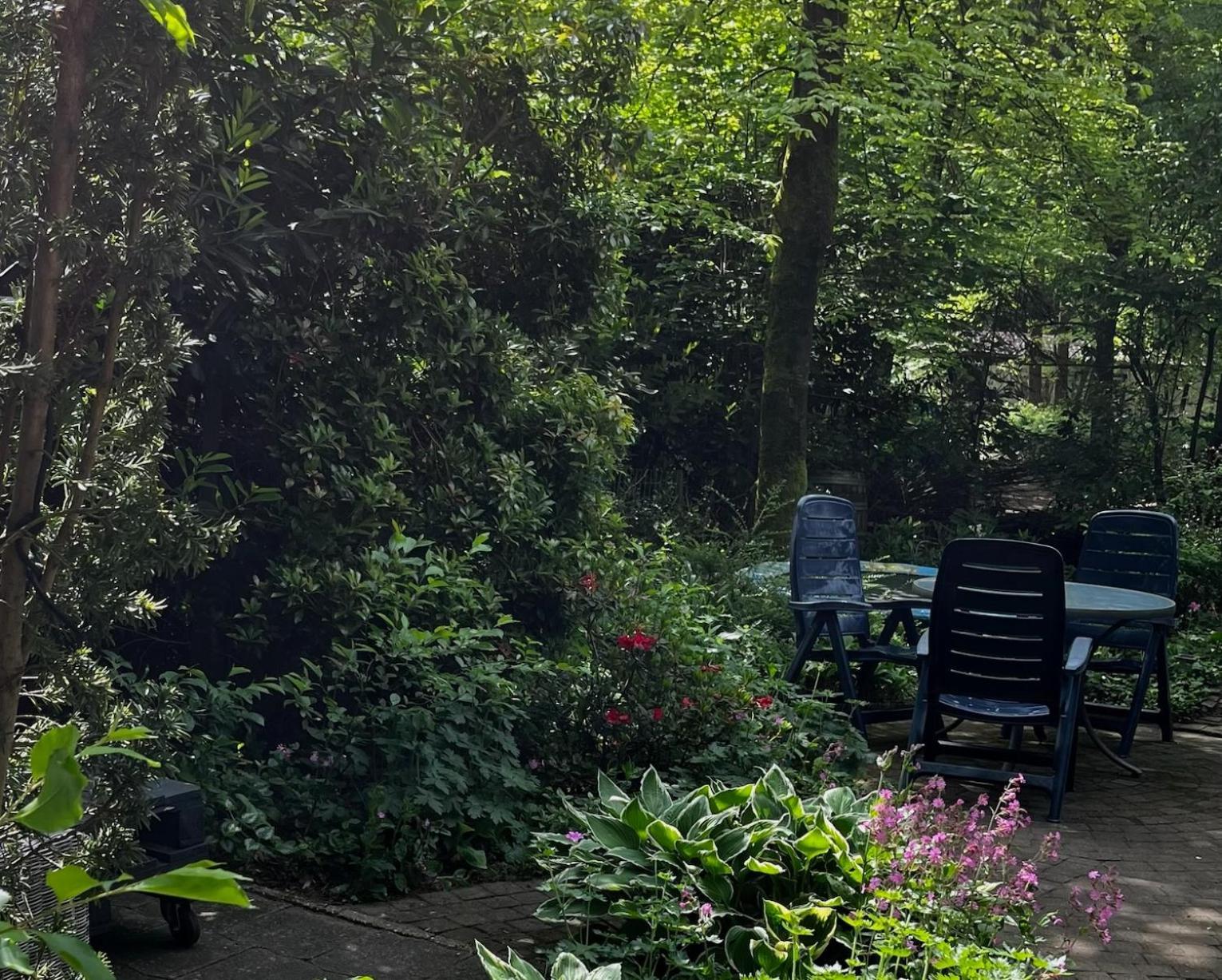 Dreamwoodz - Droomchalet Op De Veluwe *