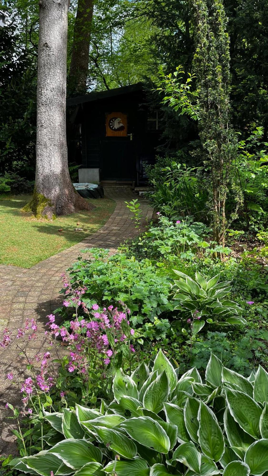 Dreamwoodz - Droomchalet Op De Veluwe Laag-Soeren
