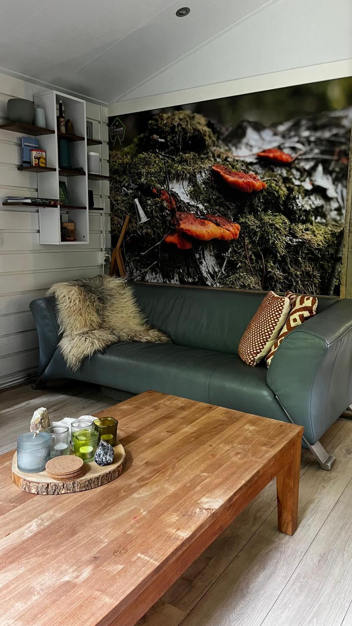 Dreamwoodz - Droomchalet Op De Veluwe Holiday home *